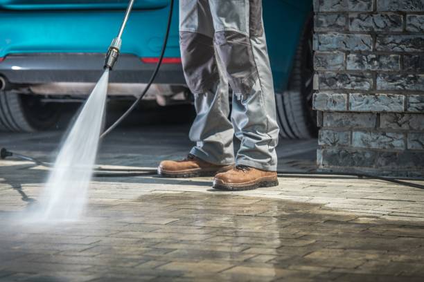 Best House Exterior Washing  in Birch Run, MI