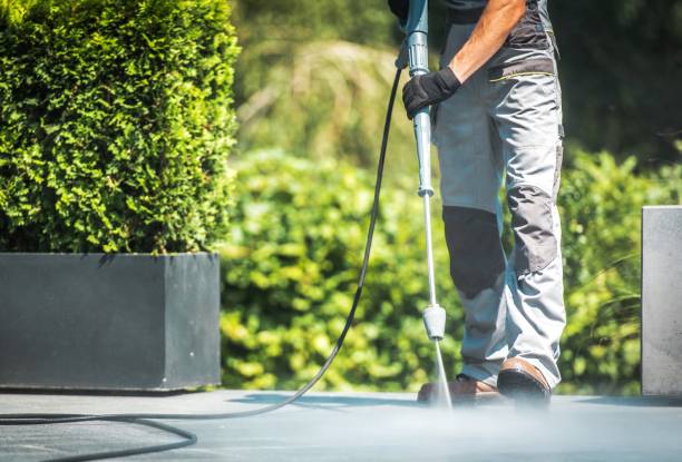 Best Animal Enclosure Cleaning  in Birch Run, MI