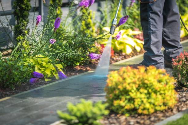 Reliable Birch Run, MI Pressure Washing Services Solutions