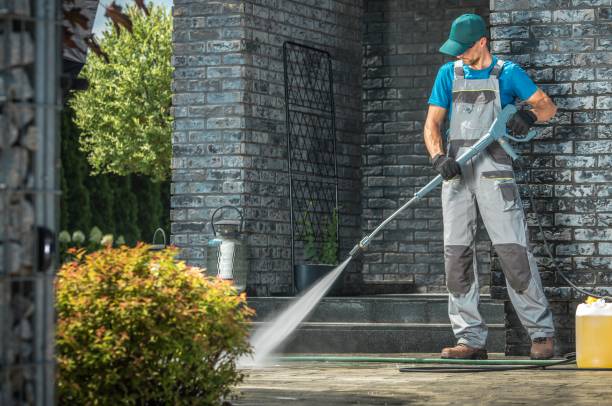 Best Gutter Cleaning  in Birch Run, MI