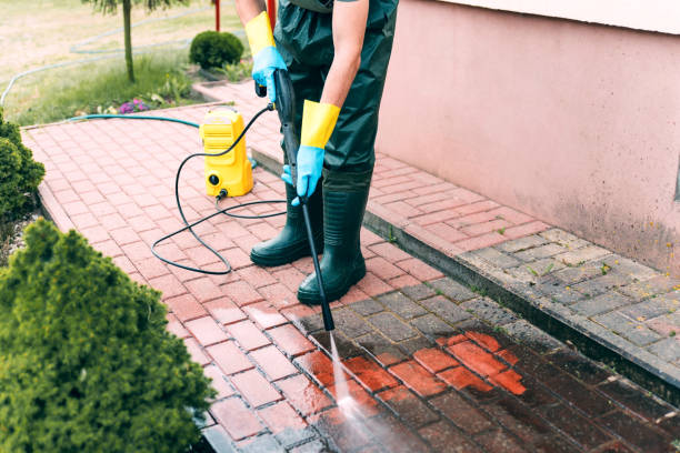 Solar Panel Cleaning in Birch Run, MI