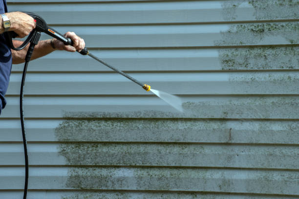 Best Roof Washing  in Birch Run, MI